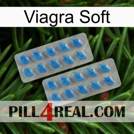 Viagra Soft 23